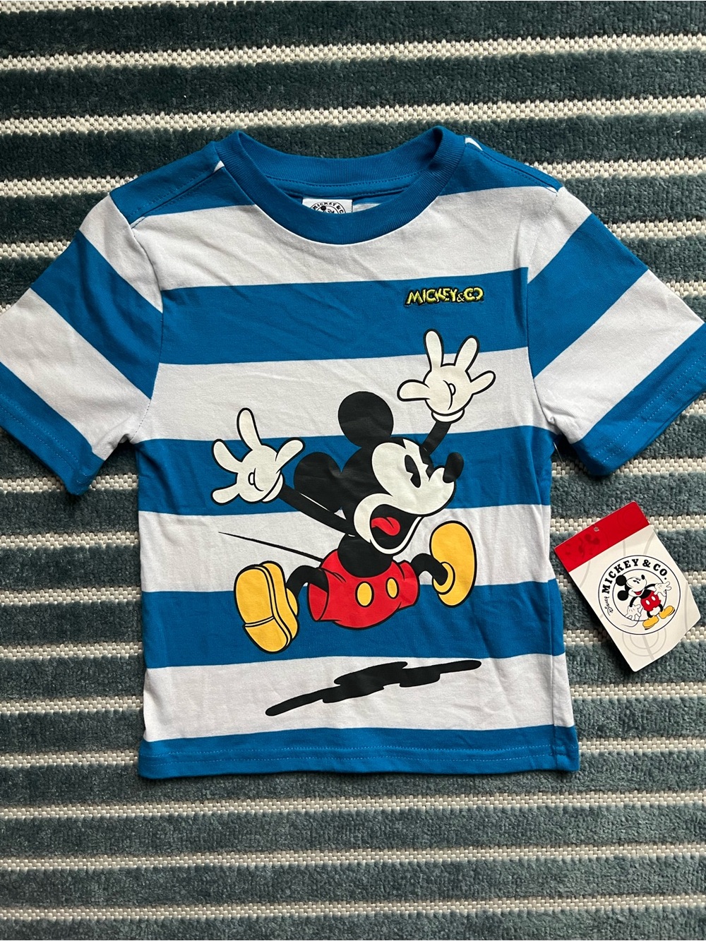 NWT Disney Mickey & Co. Striped T-Shirt 4T